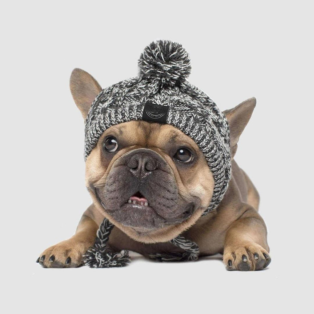 Fluffy Polar Pom Knitted Dog Hat - Winter Fashion Statement