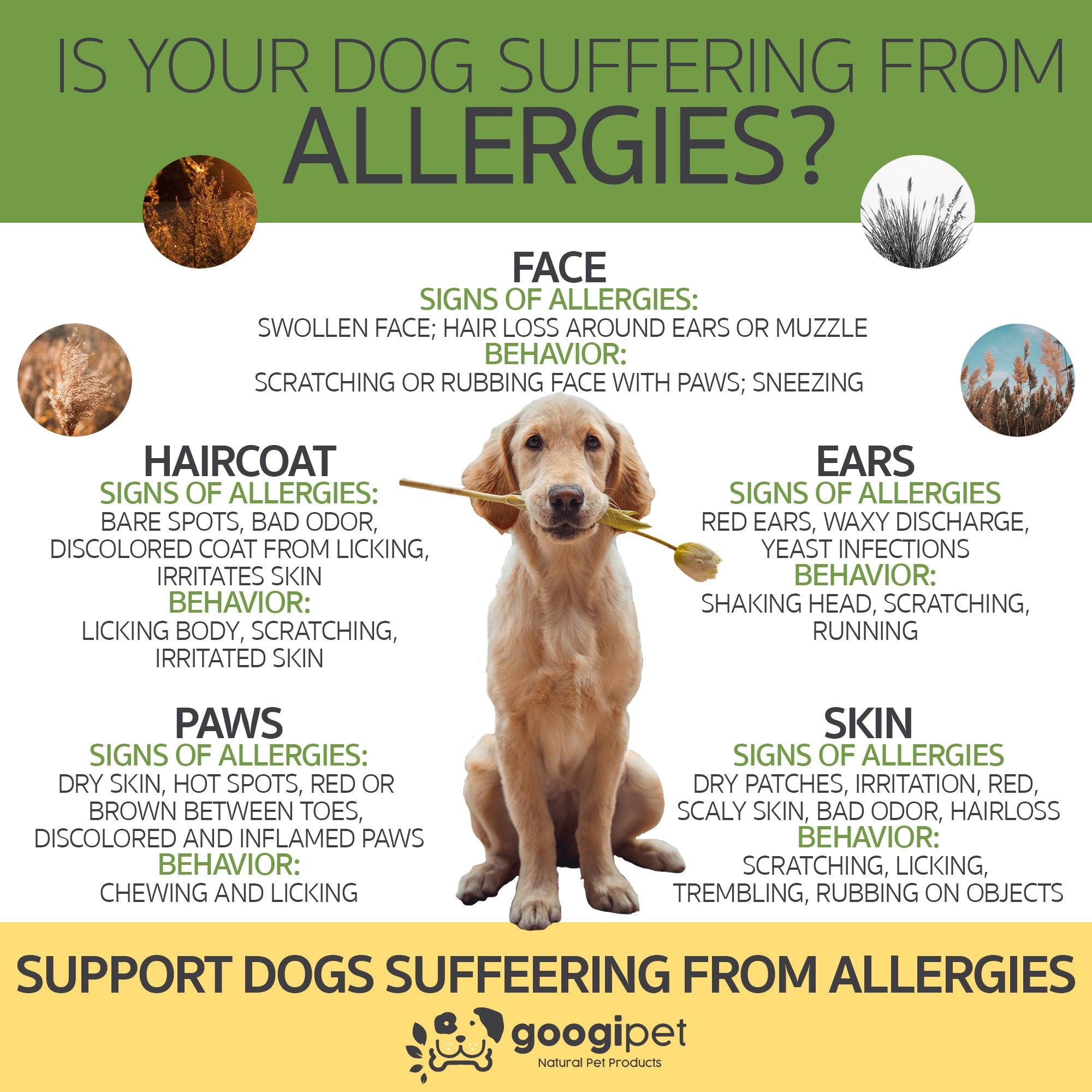 Allergy & Immune Support Chews for Dogs (Peanut Butter Flavor)