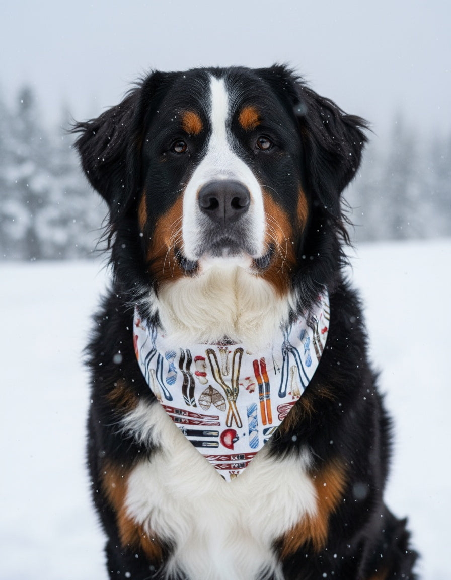 Skiing Dog Bandana