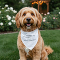 My Humans Are Getting Married Dog Bandana New Arrival