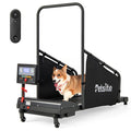 Indoor Pet Exercise Equipment with Remote Control