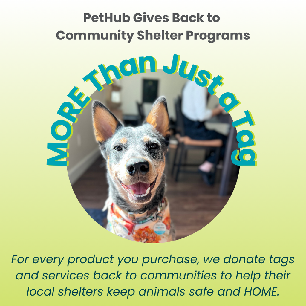 PetHub QR ID Pet Tag - KIss Me I'm Rescued