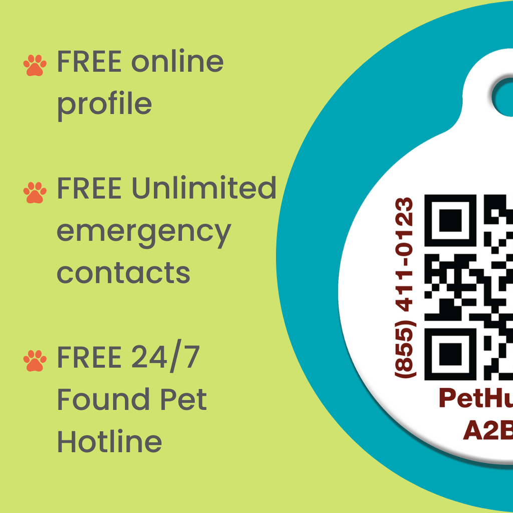 QR Pet Comprehensive Identification: Mini ReadyKit