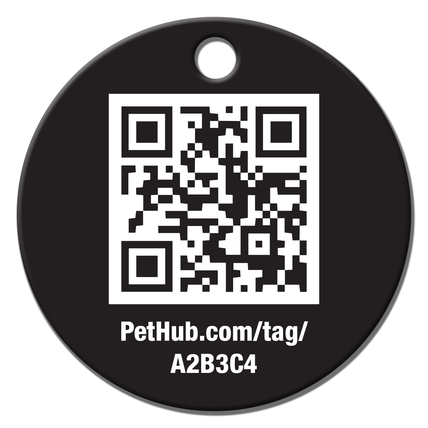 PetHub QR Pet ID Tag – Classic Aluminum