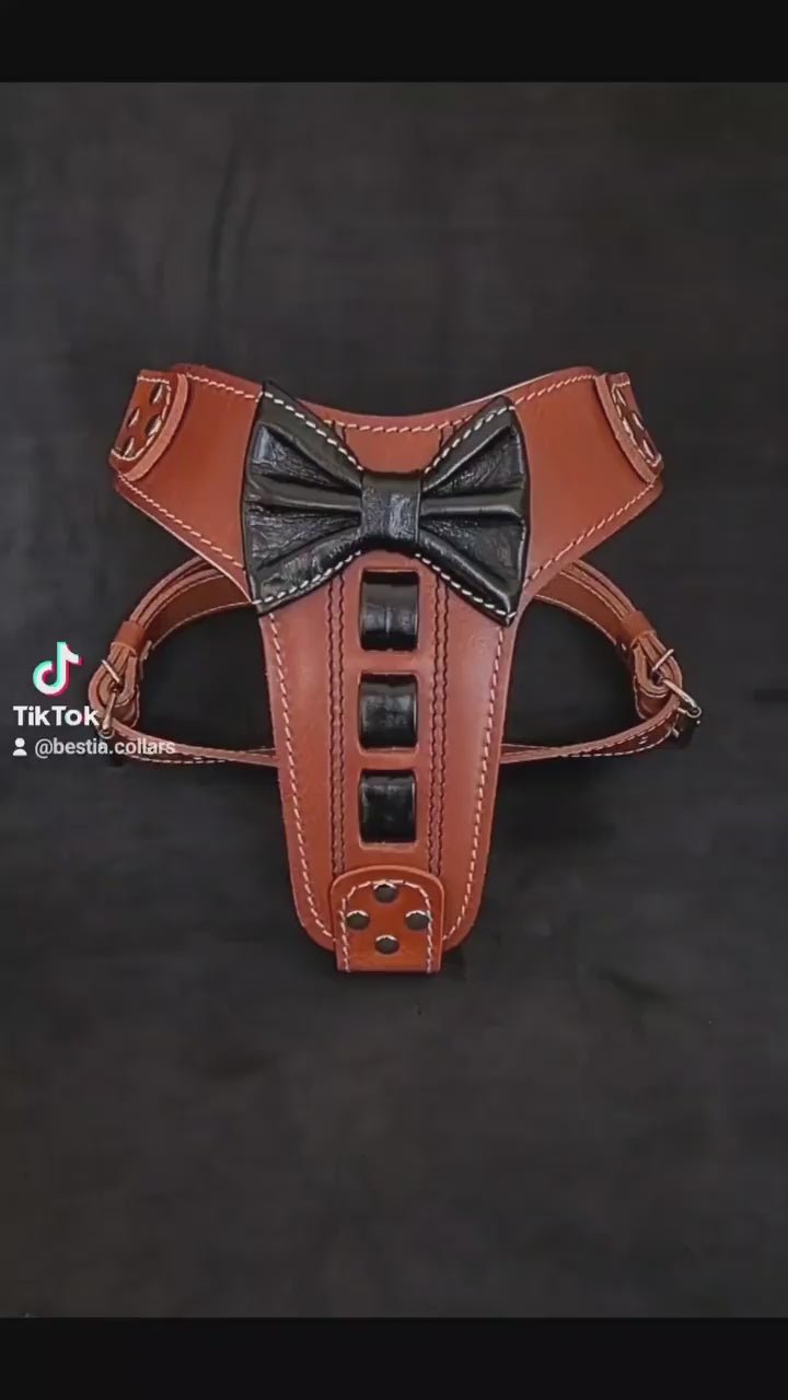 Bestia ''Bowtie'' leather harness