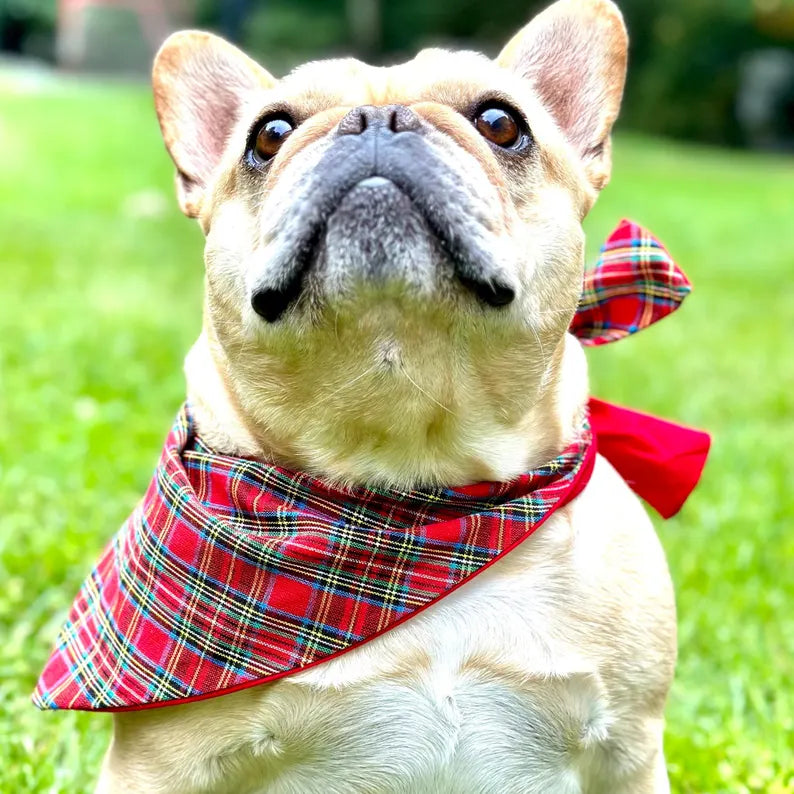 Classic Holliday Plaid Dog Bandana