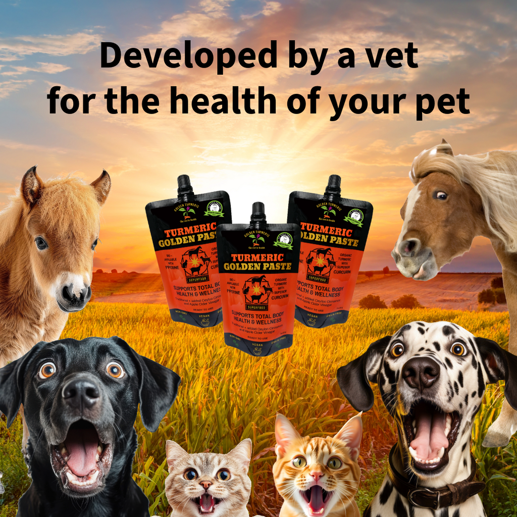 Turmeric Golden Paste Pets