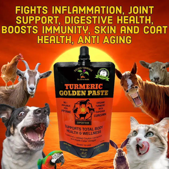 Turmeric Golden Paste Pets