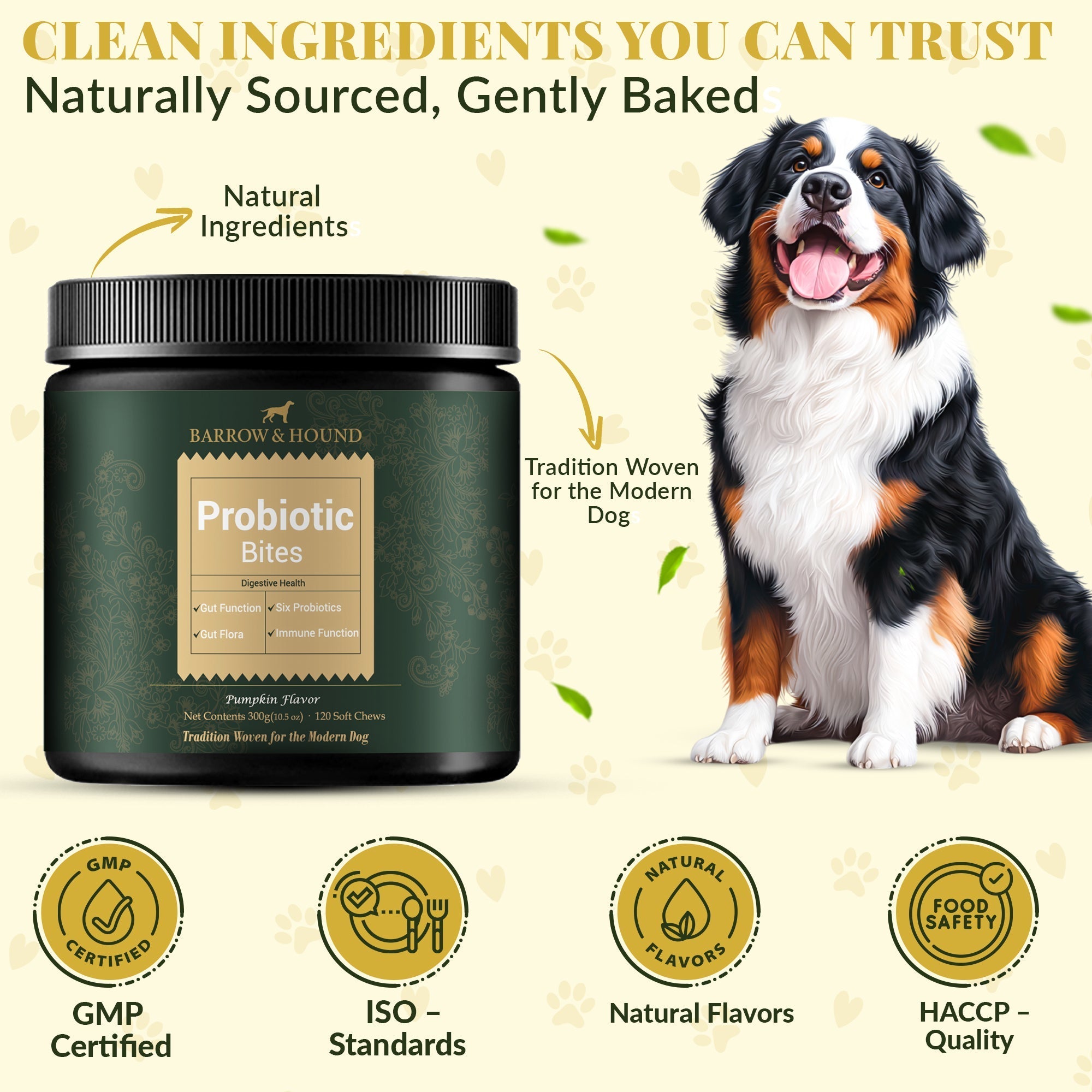 Probiotic Bites for Dogs – Gut Health & Digestive Support