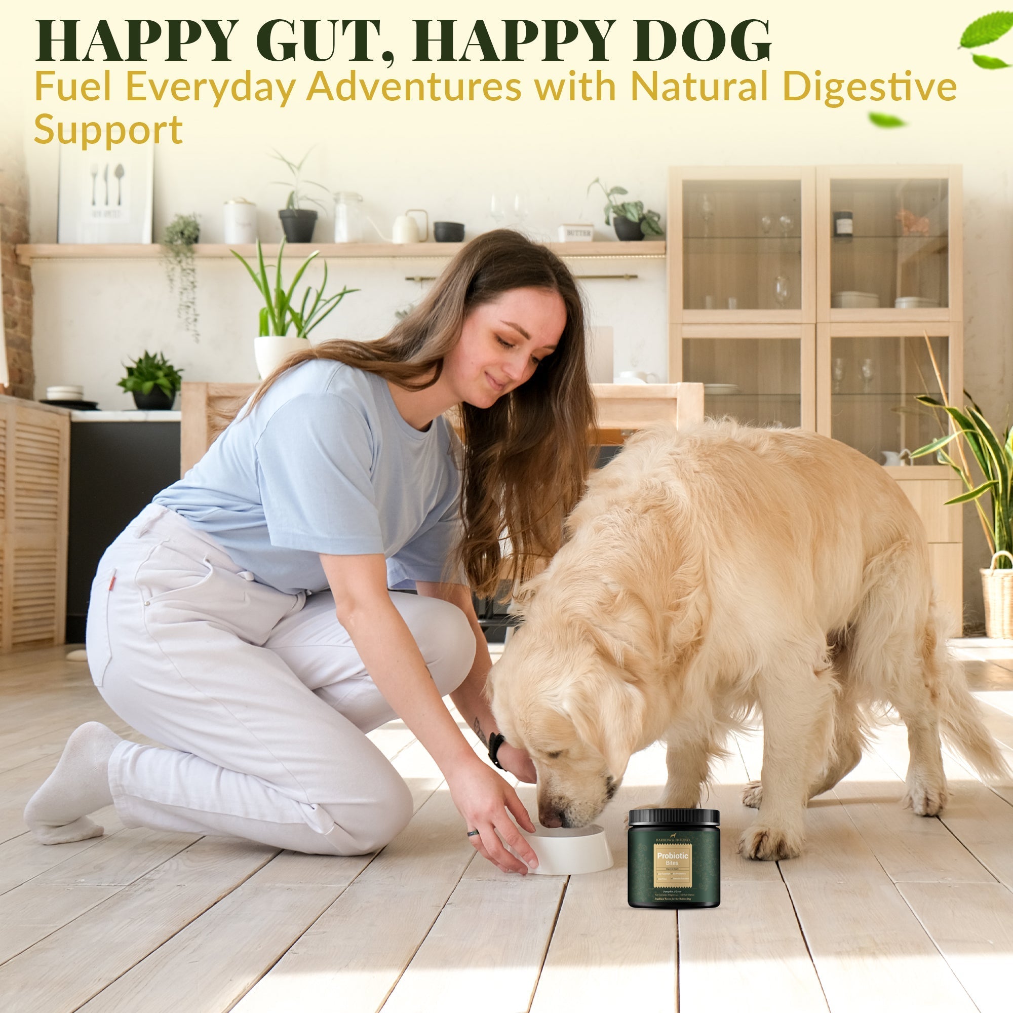 Probiotic Bites for Dogs – Gut Health & Digestive Support