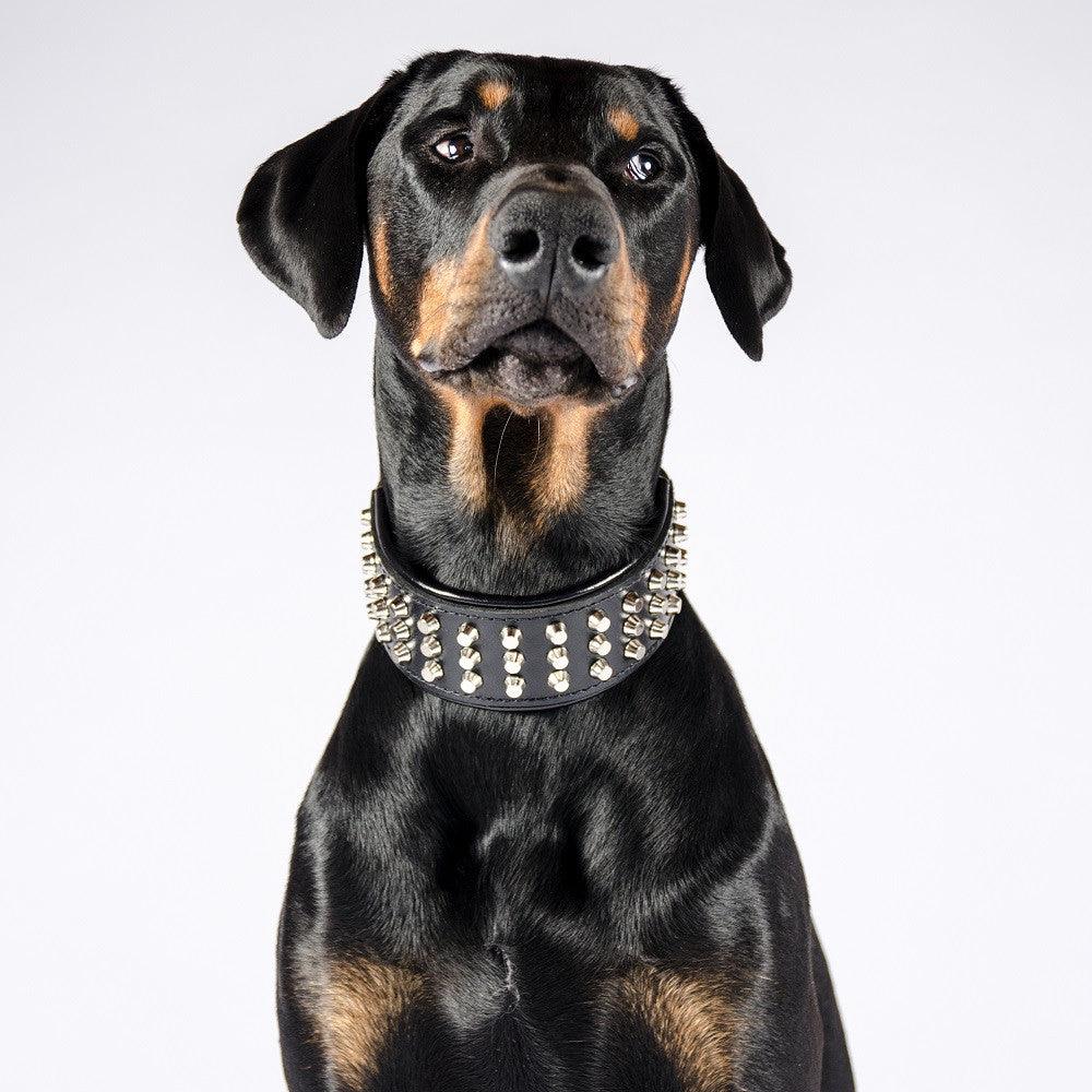 The "Stud" dog collar by Bestia
